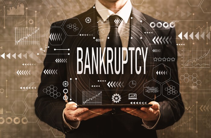 Bankruptcy personal fong partners inc process