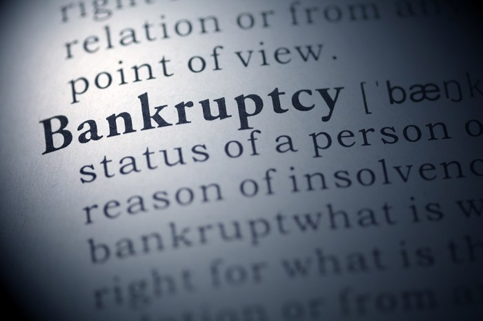 Bankruptcy explained personal adultery committing financial lurid areas gray examples stories